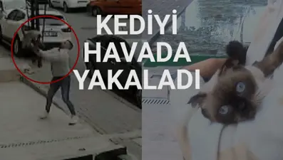 Kız kardeşinin 3. kattan düşen kedisini kurtardı