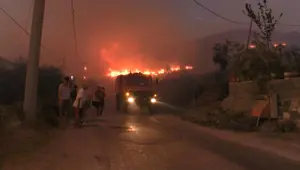 Marmara Adası'nda orman yangını