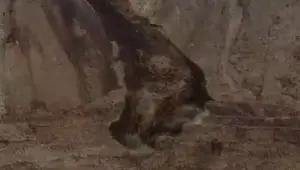 Erzincan İliç'te kontrollü toprak kayması