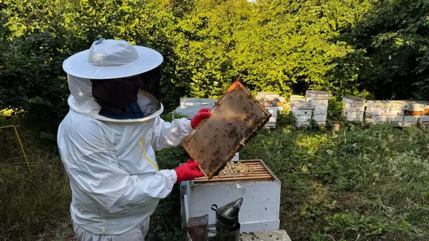 Dedesinin nasihatiyle başladı, geçim kaynağı oldu: 1 ton üretmeyi hedefliyor 1