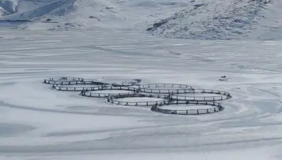 Doğuda dondurucu soğuk: Barajın yüzeyi buz tuttu
