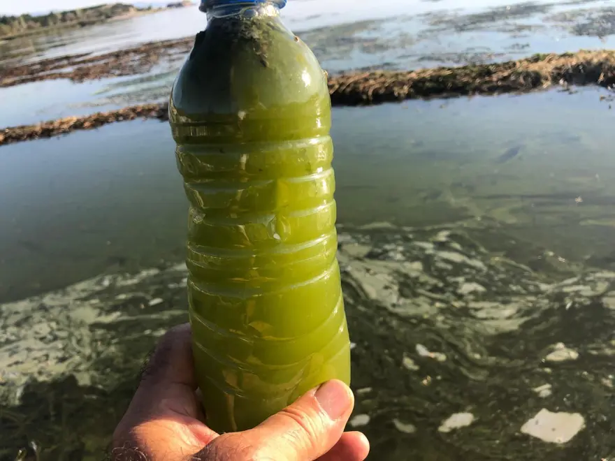 TUZLULUK ORANI DA ARTIYOR 4