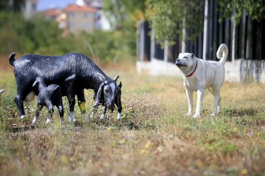 Kırklareli'nde Aşağıpınar'daki 8 bin yıllık köy yaşamı 'zaman tüneli' ve açık hava müzesinde tanıtılacak 13