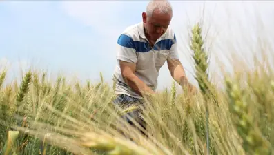 Çiftçilere destek ödemisi bugün yapılacak