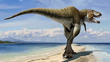 T-rex’in büyük amcası bulundu