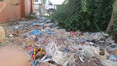 Evin bahçesinden kamyon dolusu çöp çıktı