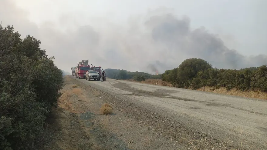 Çanakkale'de orman yangını kontrol altında 57