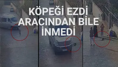 Köpeğin ölümüne neden olan servis şoförü yoluna devam etti