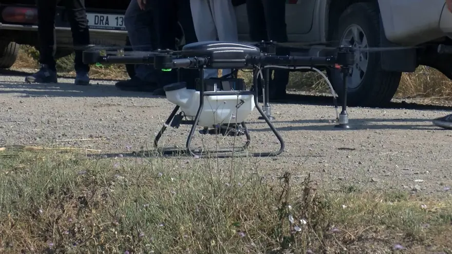 İstanbul'da sivrisinekler hastanelik etmeye başladı 9