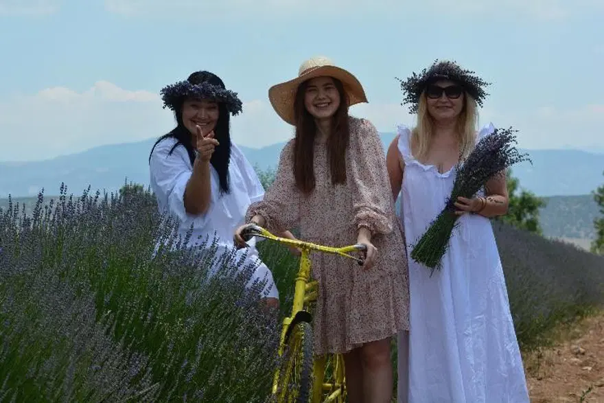 'Mor turizm' lavanta tarlaları pandemiye rağmen 250 bin ziyaretçi ağırladı 7 'Mor turizm' lavanta tarlaları pandemiye rağmen 250 bin ziyaretçi ağırladı 7