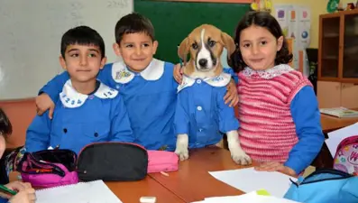 Klinikte tedavi gören Fındık, hayatını kaybetti