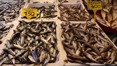 Tezgahta çeşitlilik ve bolluk var: İlk tercih edilen balık