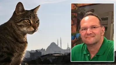 Kedi tüyünden ölüm haberlerine yalanlama
