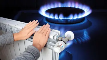 Bakan Dönmez: Doğalgazda yüzde 80 sübvansiyon uyguluyoruz