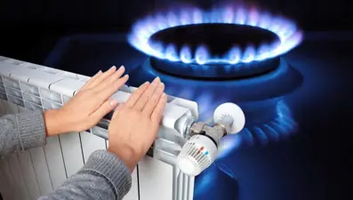 Bakan Dönmez: Doğalgazda yüzde 80 sübvansiyon uyguluyoruz