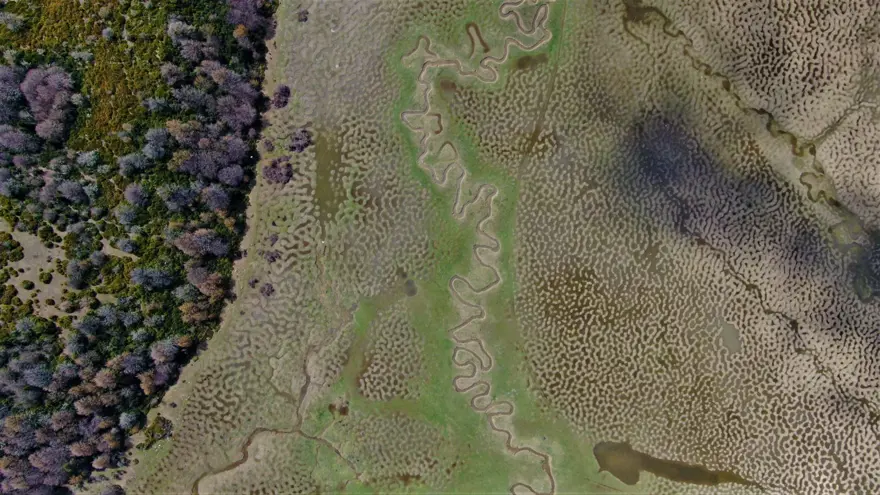 Türkiye'de böylesini hiç görmediniz! Sakarya'daki Karagöl Yaylası hayran bıraktı 8 Türkiye'de böylesini hiç görmediniz! Sakarya'daki Karagöl Yaylası hayran bıraktı 8