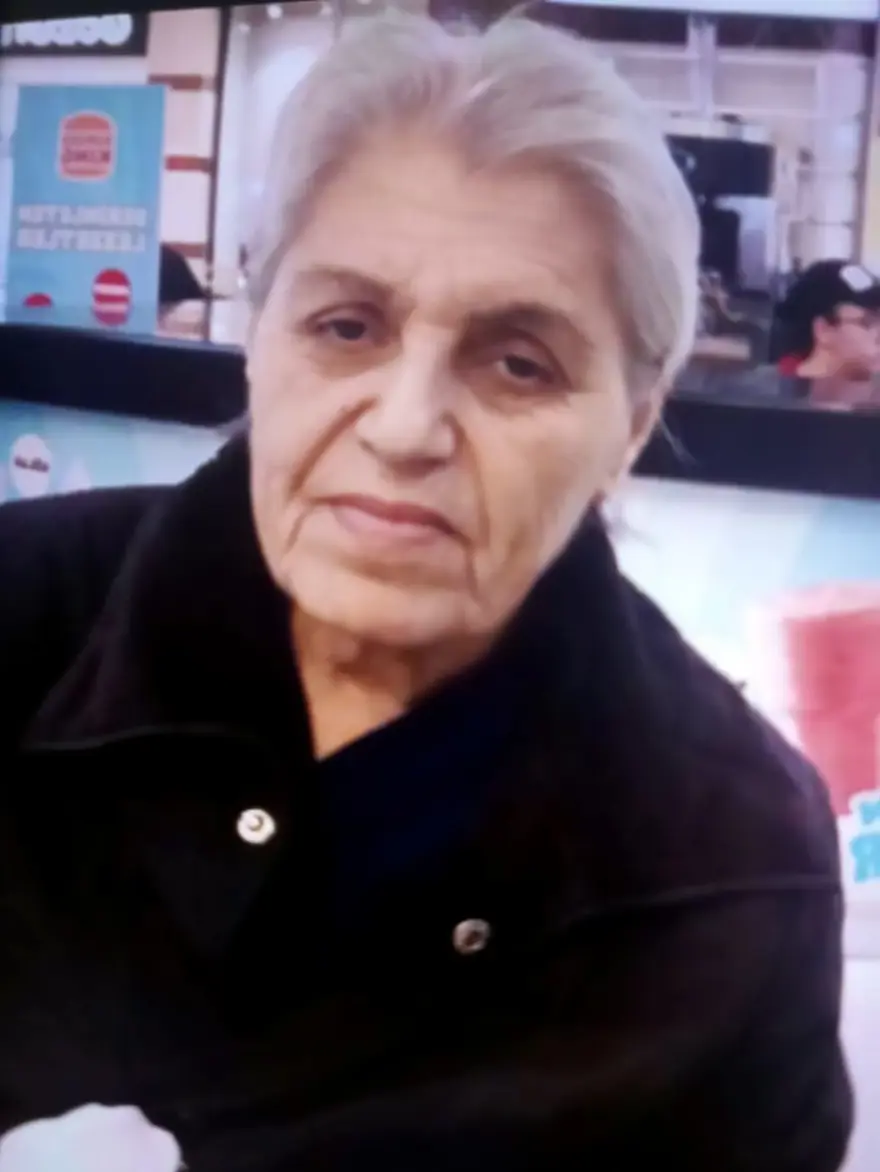 Adana’da dört günde üç ölüm: Yolun karşısına geçmeye çalışırken can verdi 2