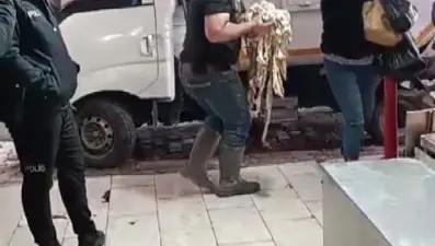 Adana’da denetim: Kilolarca sakatat ve et imha edildi