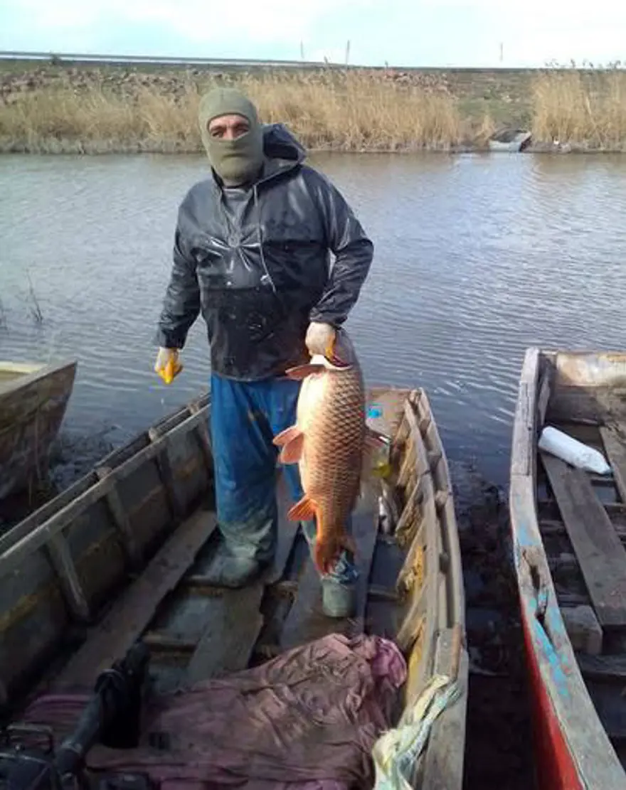 Edirne'de 18 kiloluk sazan balıkçılardan kaçamadı 1