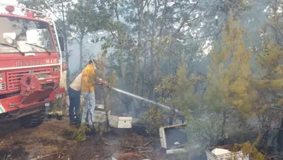 Afyonkarahisar’da orman yangını: Alevler kontrol altında
