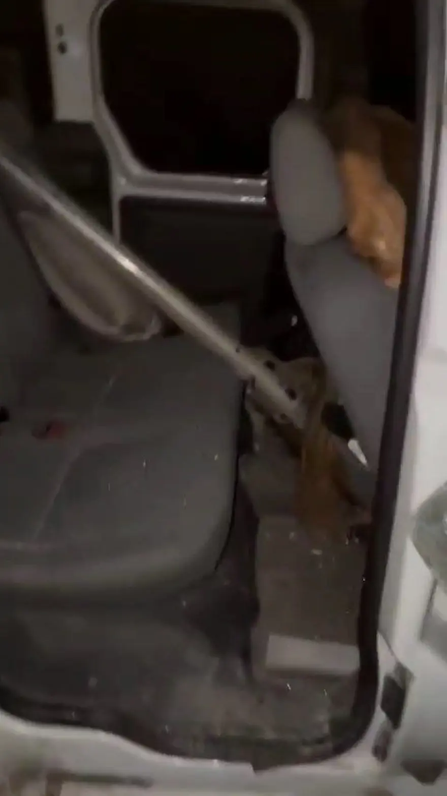 Mardin’de feci kaza: At ön camdan içeri girdi 3