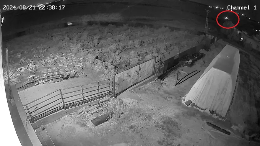 Narin Güran cinayetiyle ilgili yeni görüntü: Cesedin yakınında 8 dakika kalmış 5