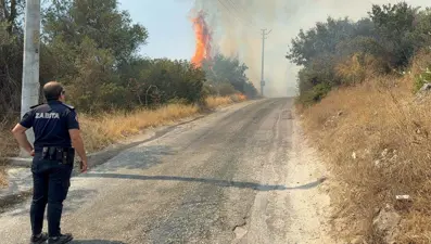 Bodrum'da makilik yangını