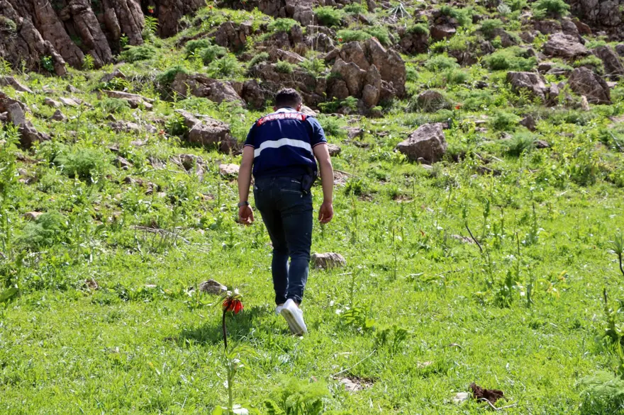 Koparmanın cezası 557 bin lira, jandarmalar koruyor 1