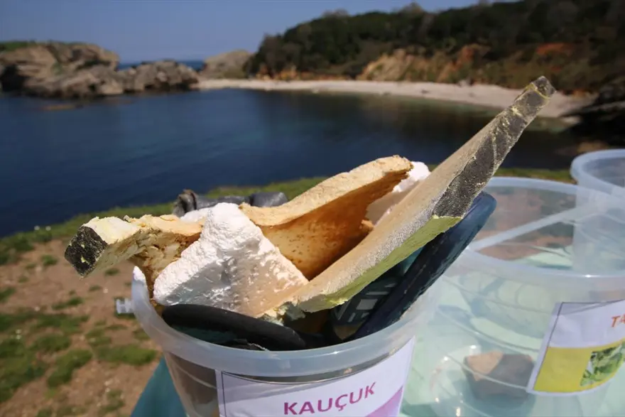 İstanbul'un yanı başındaki güzellik 'Sardala Koyu' yaza hazır 9 İstanbul'un yanı başındaki güzellik 'Sardala Koyu' yaza hazır 9