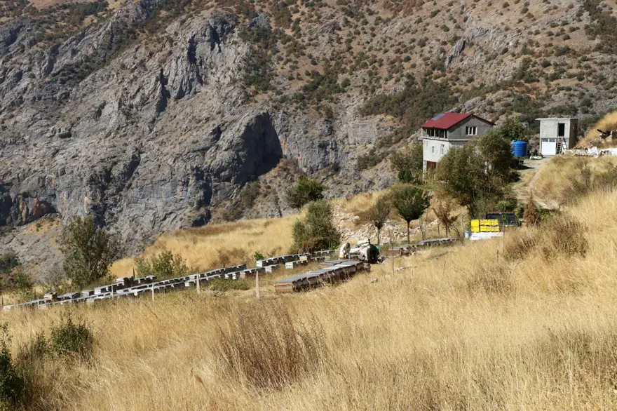 51 yaşında Ata toprağında 2,5 ton üretiyor: Ailesiyle yalnız yaşadığı köyde yapıyor 8