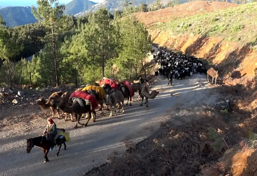 Yörüklerin 20 gün sürecek yaz göçü başladı 7