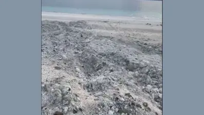 "Salda Gölü sahili kepçeyle tahrip edildi" iddiası: Burdur Valiliği'nden açıklama