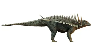 Fas’ta dünyanın en eski zırhlı dinozoru keşfedildi