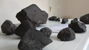 Mantar toplarken bulduğu taşlar göktaşı çıktı