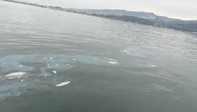 İzmir Körfezi'ni kirleten firmaya 8,3 milyon lira ceza