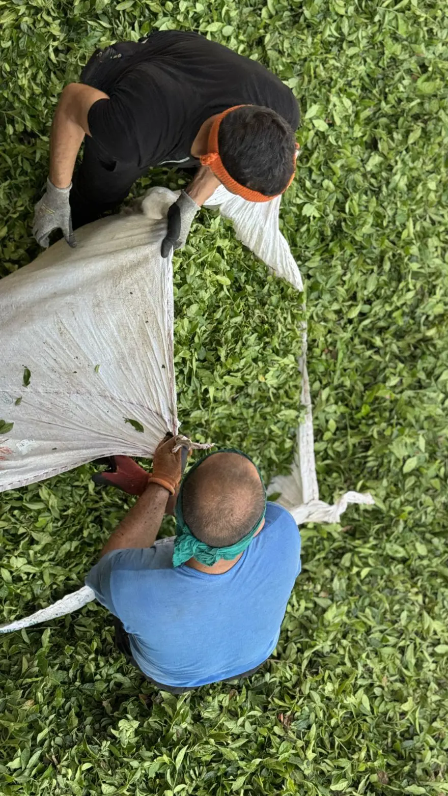 "UYGULAMANIN YAYGINLAŞMASINI GÖNÜLDEN İSTİYORUZ" 8