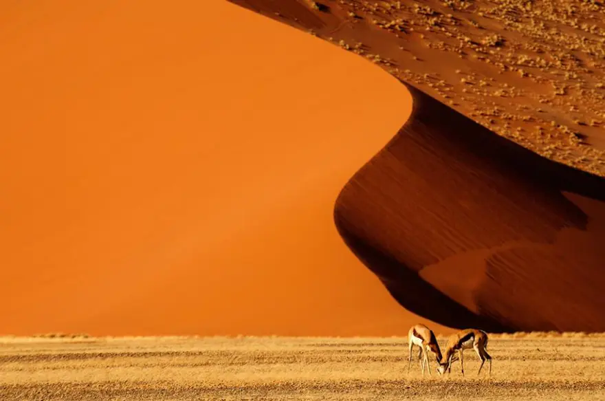 Doğadan nefes kesen fotoğraflar 13 Doğadan nefes kesen fotoğraflar 13