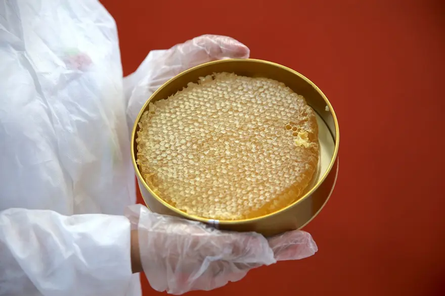 Devlet desteğiyle tesis kurdu: 20 kişiye iş imkanı sağladı 4