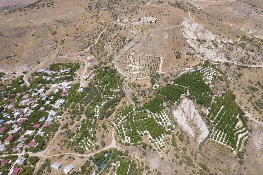 Coğrafi işaretli "Ulukale Dutu" geçim kaynağı oldu! Güneşin karşısında kurutuluyor, elekten geçirilerek hazırlanıyor 4