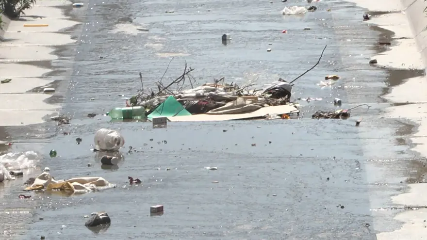 İstanbul'da "sivrisinek" tedirginliği 2
