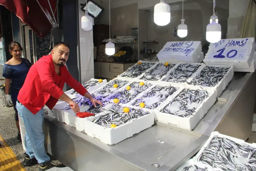 Hamsininkilosu 10 liraya düştü 4