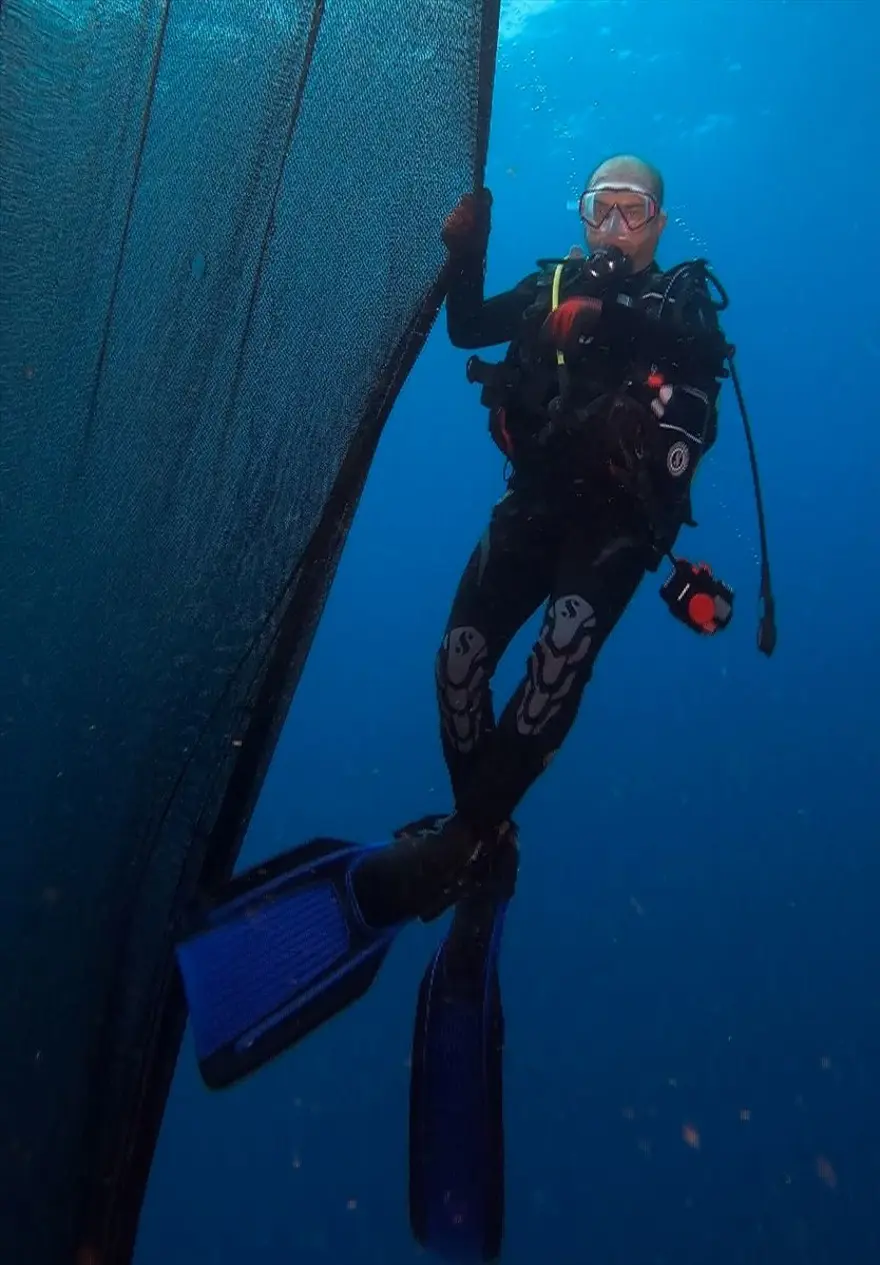 'Hayalet ağ' dalış turizmi için batırılan vapuru kapladı 6