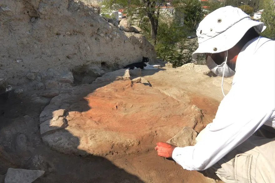Kazı alanından çıkartılıp hayata döndürülen kedi: Mokali 11