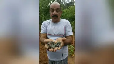 Lotodan kazandığı parayla aldığı arazide define buldu