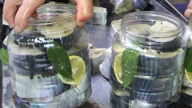 "Sinop lakerdası" coğrafi işaret tescil belgesi aldı
