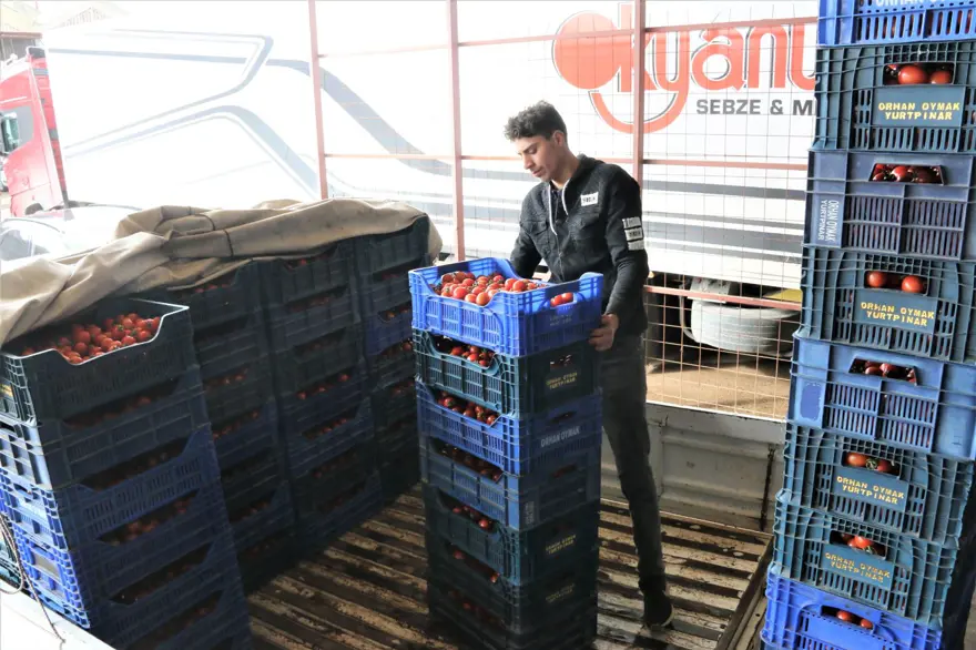 Rusya operasyonu Antalya halinde fiyatları yarıya düşürdü 