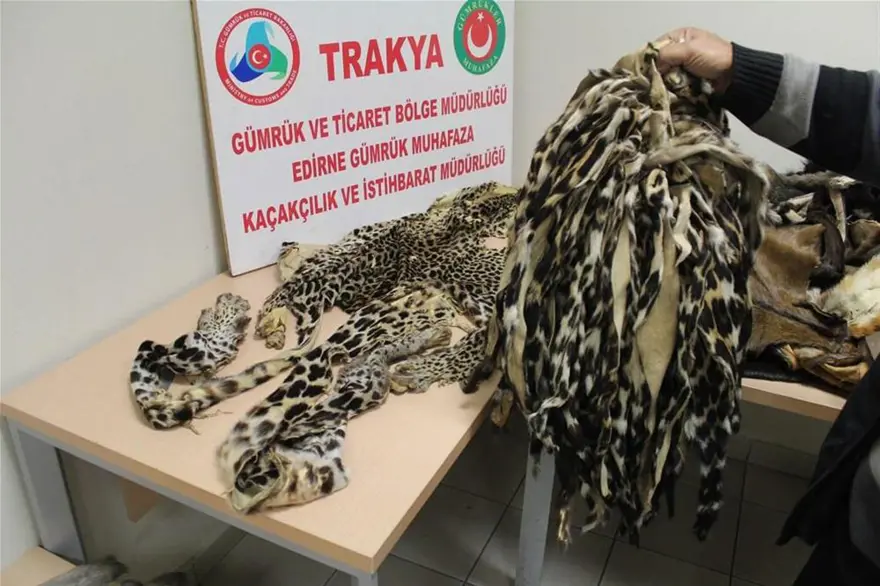 Kürkler X-Ray'e takıldı 5