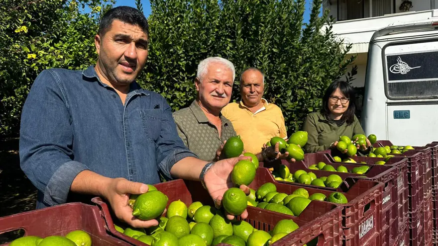 Limonun ihracat yolculuğu başladı 1