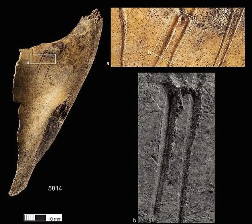 Bronz Çağı’nda Britanya: 4 bin 500 yıllık yamyamlık ve toplu katliamın izleri ortaya çıktı! 3 Bronz Çağı’nda Britanya: 4 bin 500 yıllık yamyamlık ve toplu katliamın izleri ortaya çıktı! 3