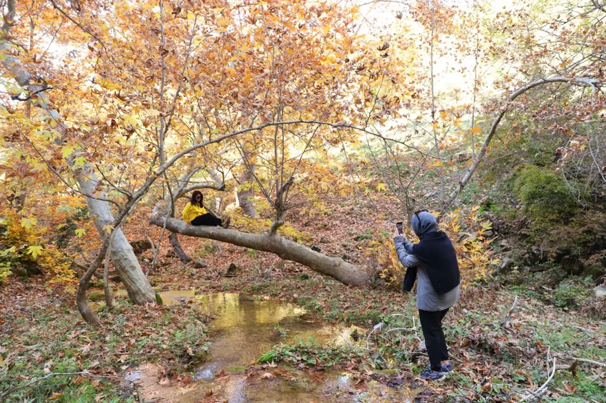 Kahramanmaraş'taki Akifiye Yaylası'na sonbaharın renkleri hakim oldu 1
